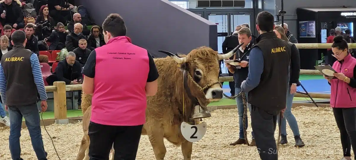InVivo Group entre dans le ring du Salon de l'Agriculture 2022 : Crise Ukrainienne - Carbon Farming Unit - Digital et nouveautés dans le Retail à venir