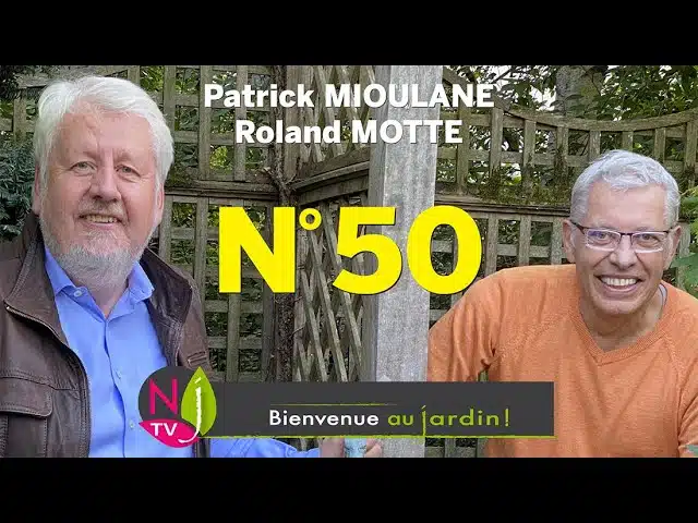 BIENVENUE AU JARDIN N° 50 : LA GRANDE ÉMISSION HEBDO DE NEWSJARDINTV PRÉSENTÉE PAR PATRICK ET ROLAND