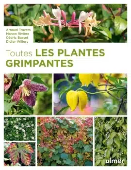 TOUTES LES PLANTES GRIMPANTES ARNAUD TRAVERS ULMER JAF-info Jardinerie