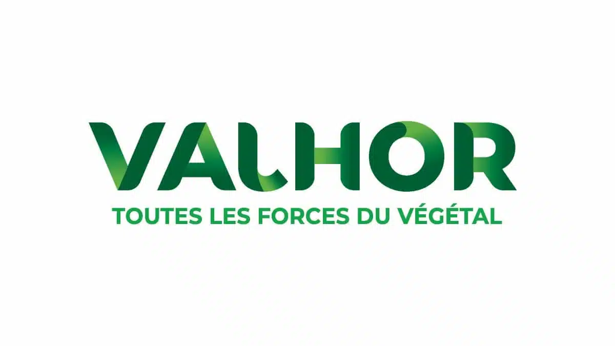 2022 VALHOR_Nouvelle_identité_de_marque_page-JAF-info Jardinerie