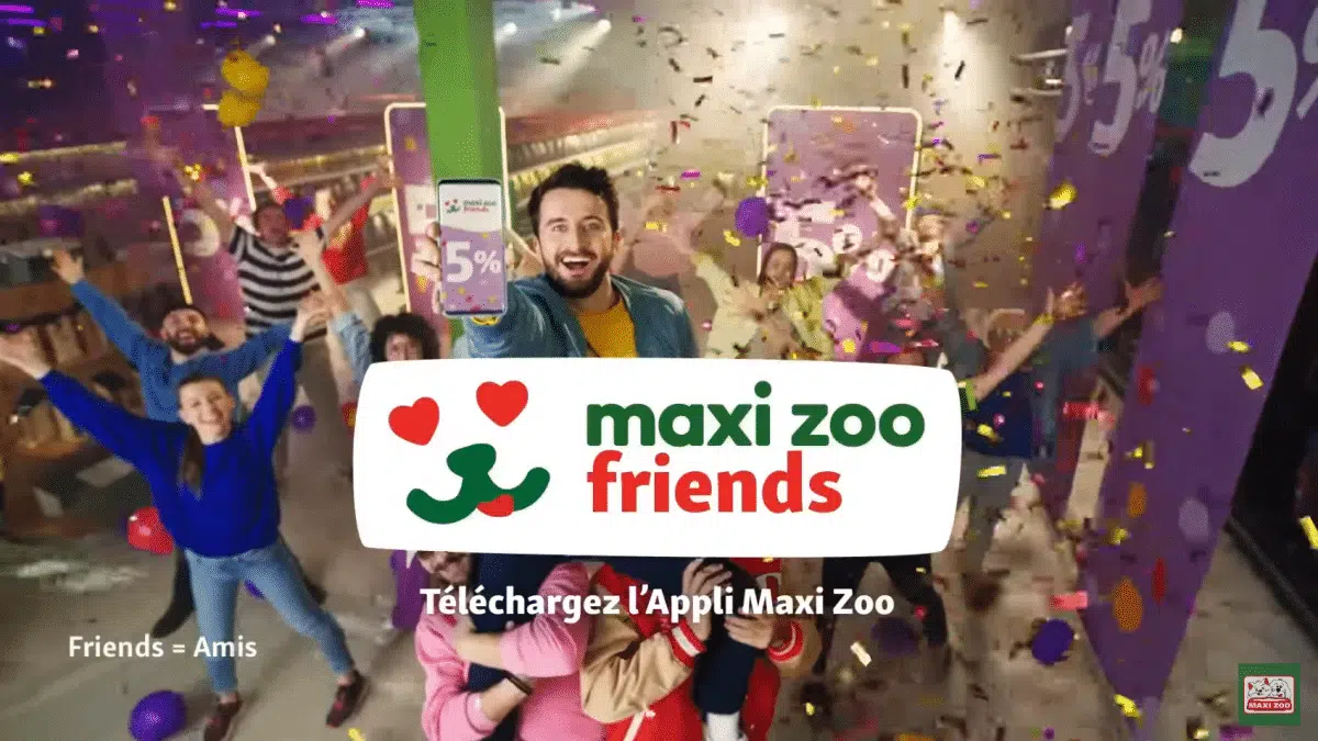 -9-Découvrez-Maxi-Zoo-Friends-YouTube