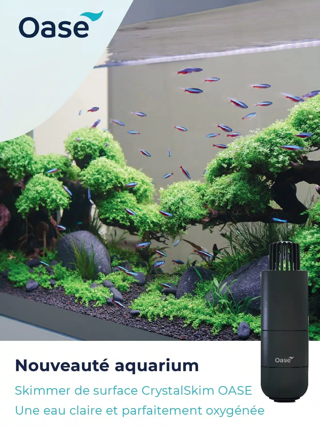 Nouveauté Aquarium - Skimmer de surface CrystalSkim OASE : Une eau claire et parfaitement oxygénée