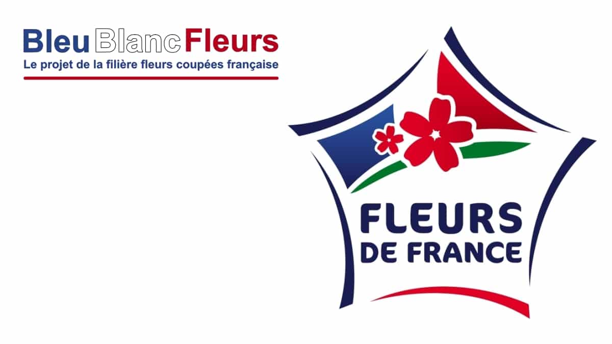 Excellence Végétale - Fleurs De France Au Salon Novafleur