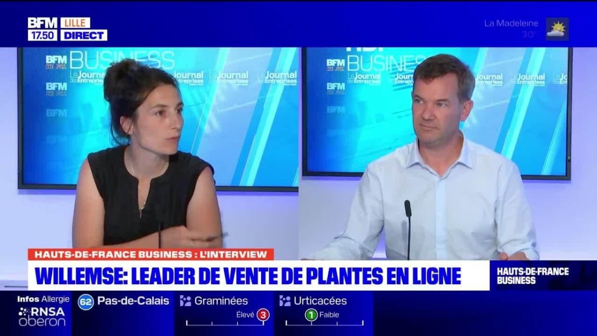 Hauts-de-France-Business-Willemse-le-geant-de-la-jardinerie-en-Europe-JAF-info Jardinerie