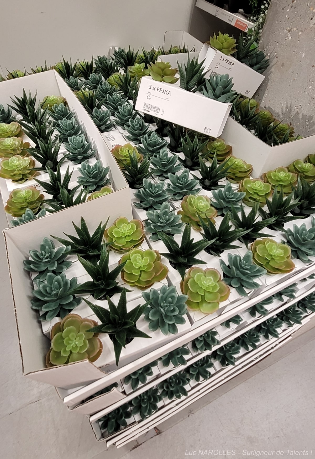 [Photo] Clin d’oeil - IKEA Paris La Madeleine – Décoration – Végétal : Le plastique est fantastique