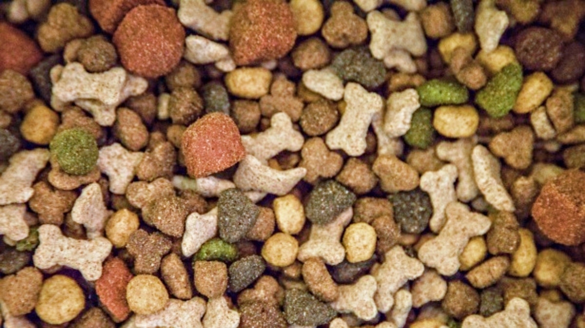 Petfood JAF-info Jardinerie Animalerie Fleuriste