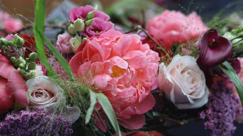 Grand Concours Floral Interflora - Sélection Coupe Du Monde Et Finale Coupe Espoir - 22 &Amp; 23 Octobre 2022 - Château De Chenonceau