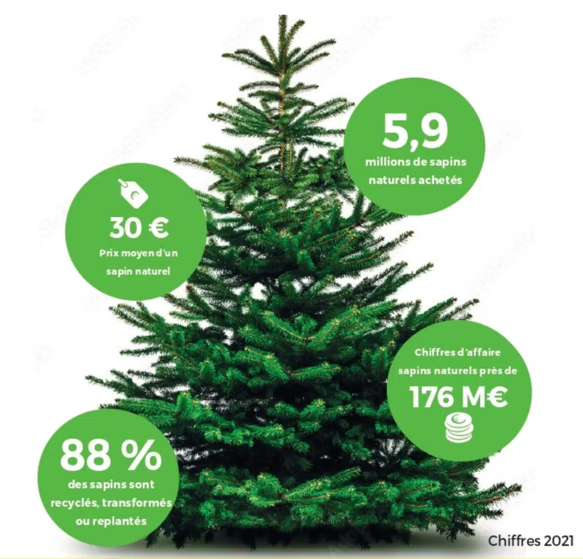 Marché du sapin de Noël - Chiffres clés et tendances - 89 % des sapins achetés sont des sapins de noël naturels