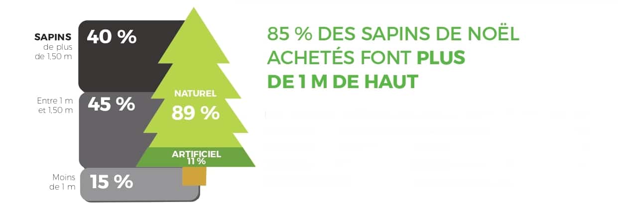 Marché Du Sapin De Noël - Chiffres Clés Et Tendances - 89 % Des Sapins Achetés Sont Des Sapins De Noël Naturels