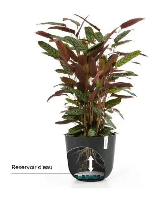 Poterie Ecopots - Du robuste ! Une gamme de poterie design et qualitative à découvrir !