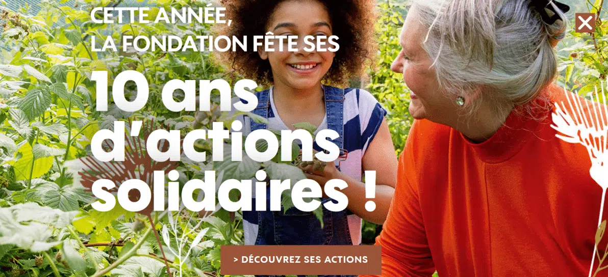 Impacts Positifs Truffaut - 10 ans d'actions solidaires de la Fondation - Ensemble pour un Pacte Positif