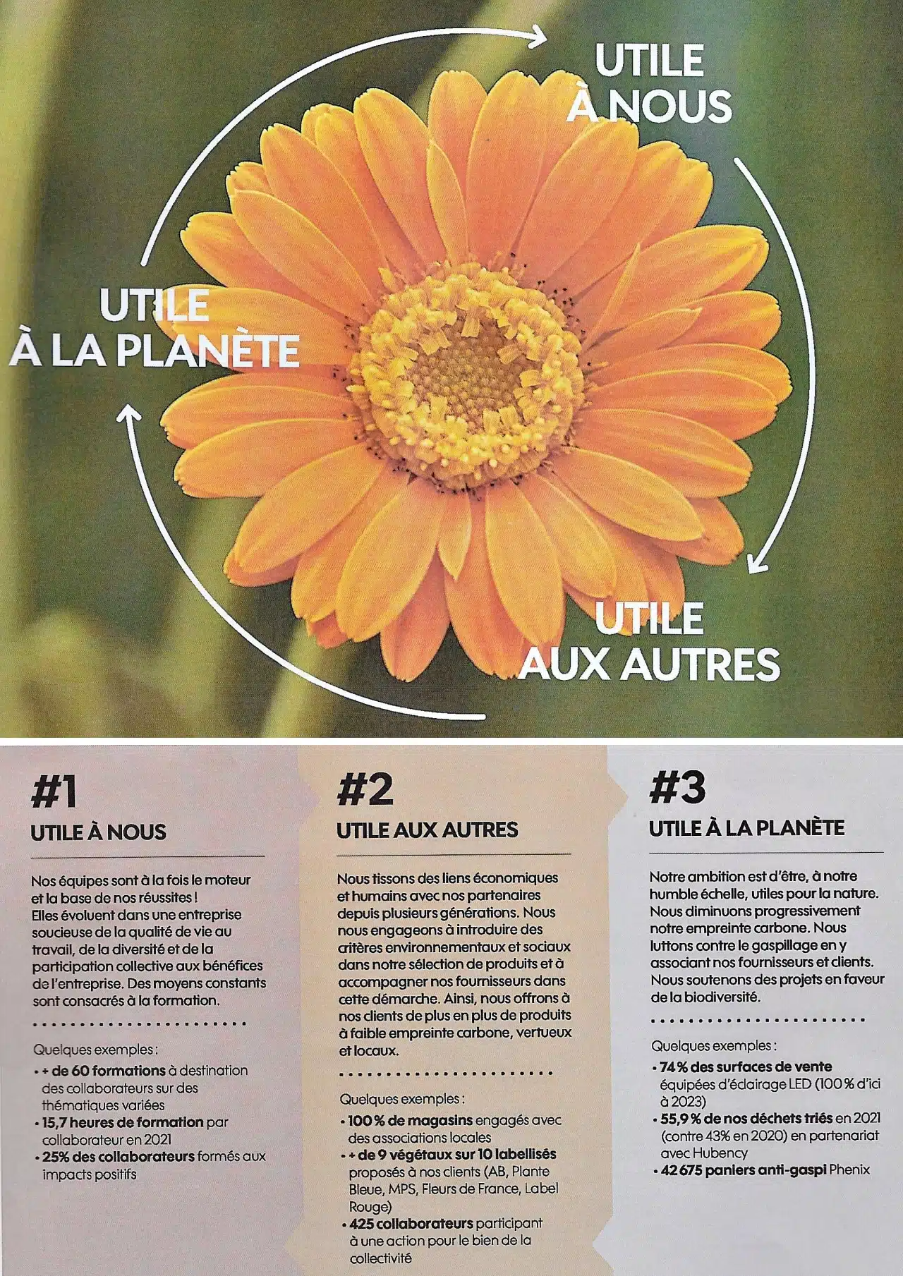 Impacts Positifs Truffaut - 10 ans d'actions solidaires de la Fondation - Ensemble pour un Pacte Positif