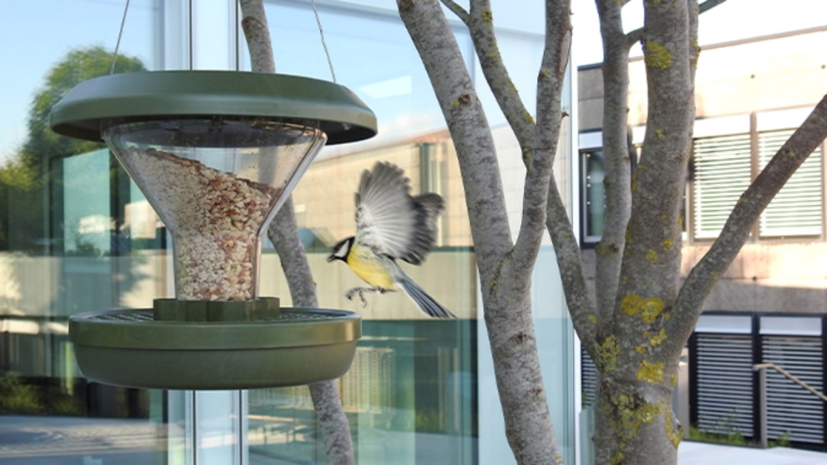 Choisir les mangeoires des oiseaux du jardin - Gamm vert