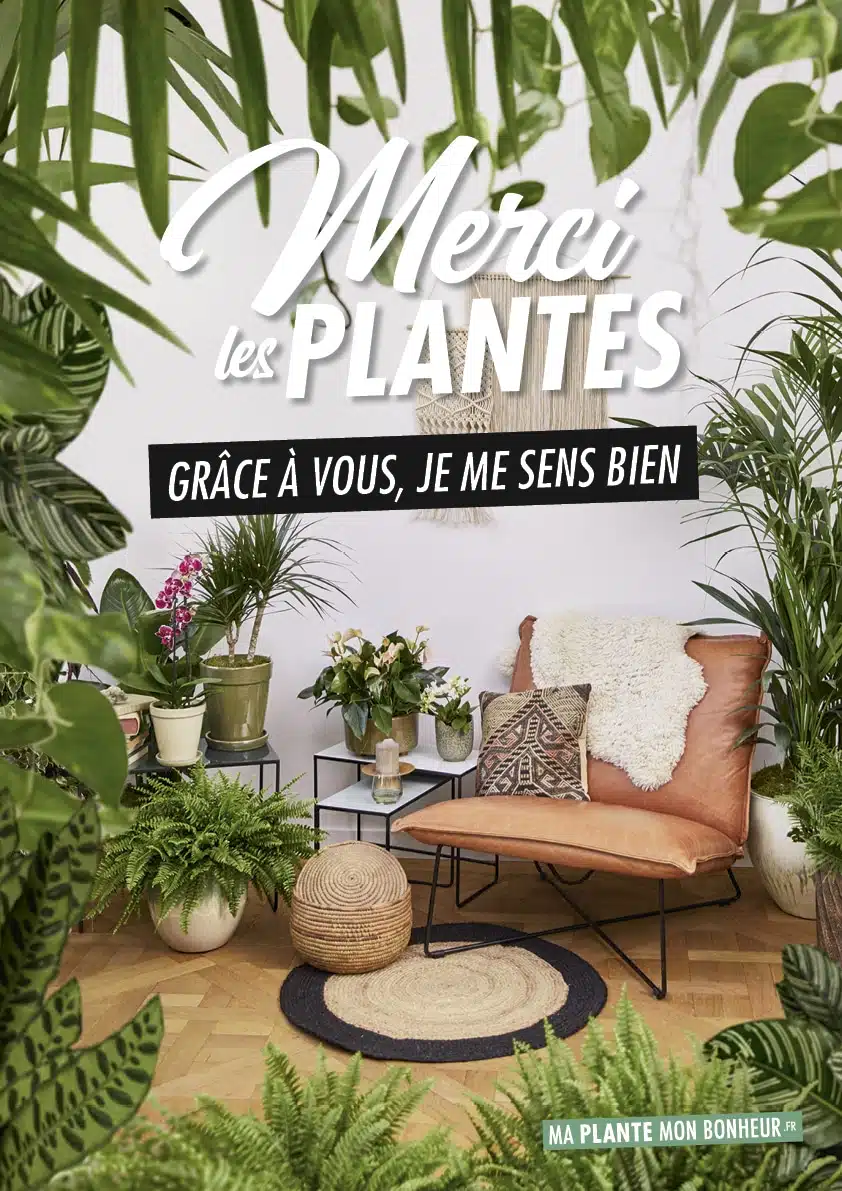 Office Hollandais des Fleurs - « Merci les Plantes » à nouveau dans les starting-blocks - Cinquième édition déjà de cette campagne populaire