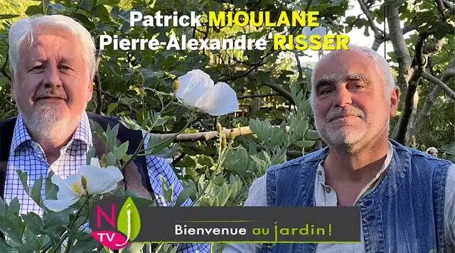 NOUVEAU DUO DE PRÉSENTATEURS POUR L’ÉMISSION BIENVENUE AU JARDIN ET CRÉATION DE NEWSJARDINTV LE CLUB