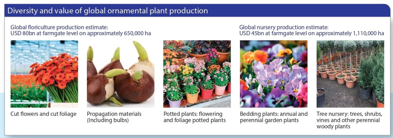 Etude RaboBank - Royal FloraHolland - La situation de la floriculture mondiale en 2021.
