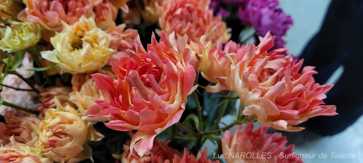 Photo] Fleuriste en ligne Aquarelle - Une large palette de fleurs ....