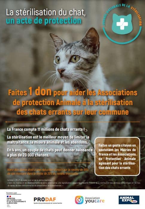Prodaf Lance La Journée Nationale De L’aide À La Stérilisation Des Chats Errants En Association Avec Youcare France