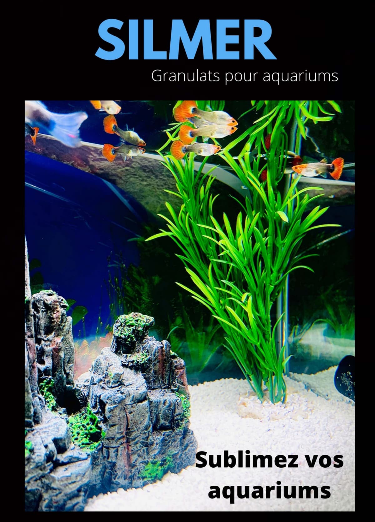 Silmer, société des Silices de Mer : Sublimez vos décorations d'aquarium et  vos jardins
