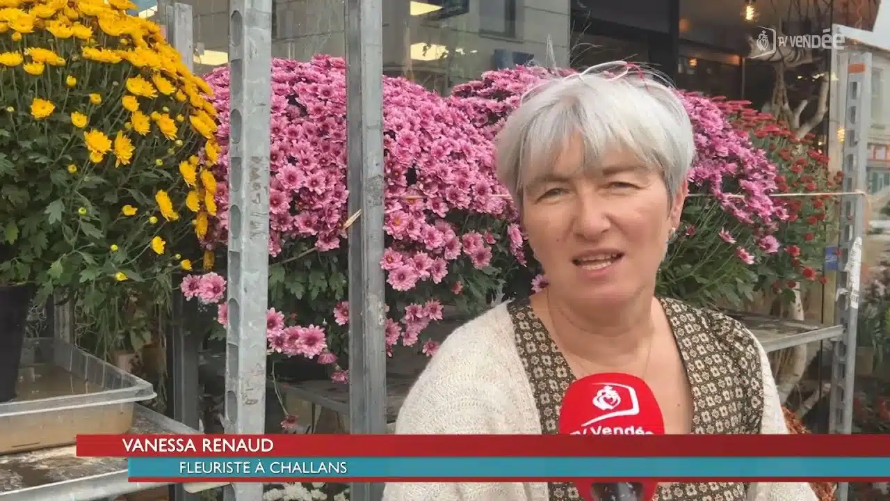 La tradition des chrysanthèmes perdure pour la Toussaint