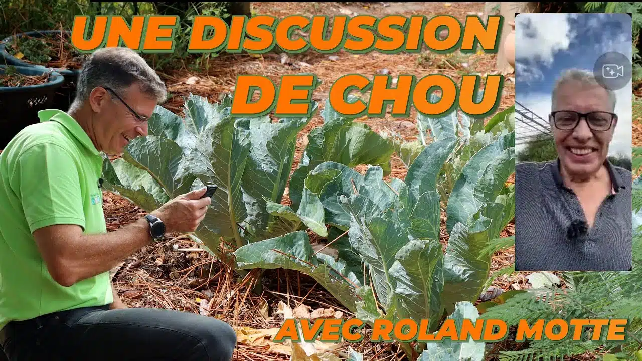 LES MALADIES DE CHOUX avec ROLAND MOTTE - Que Faire Dans Mon Jardin ? Semaine 33