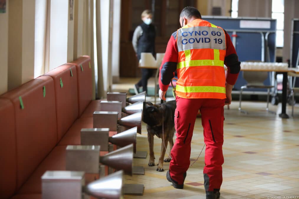 Les Candidatures Pour Les Trophées Des Chiens Héros 2023 De La Centrale Canine Sont Ouvertes !