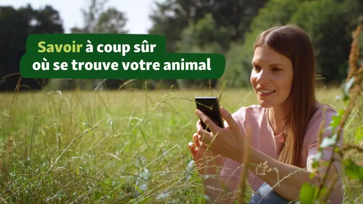 Maxi Zoo lance son tracker GPS pour chien sans abonnement