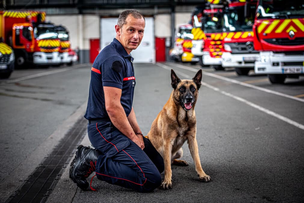 Les Candidatures Pour Les Trophées Des Chiens Héros 2023 De La Centrale Canine Sont Ouvertes !