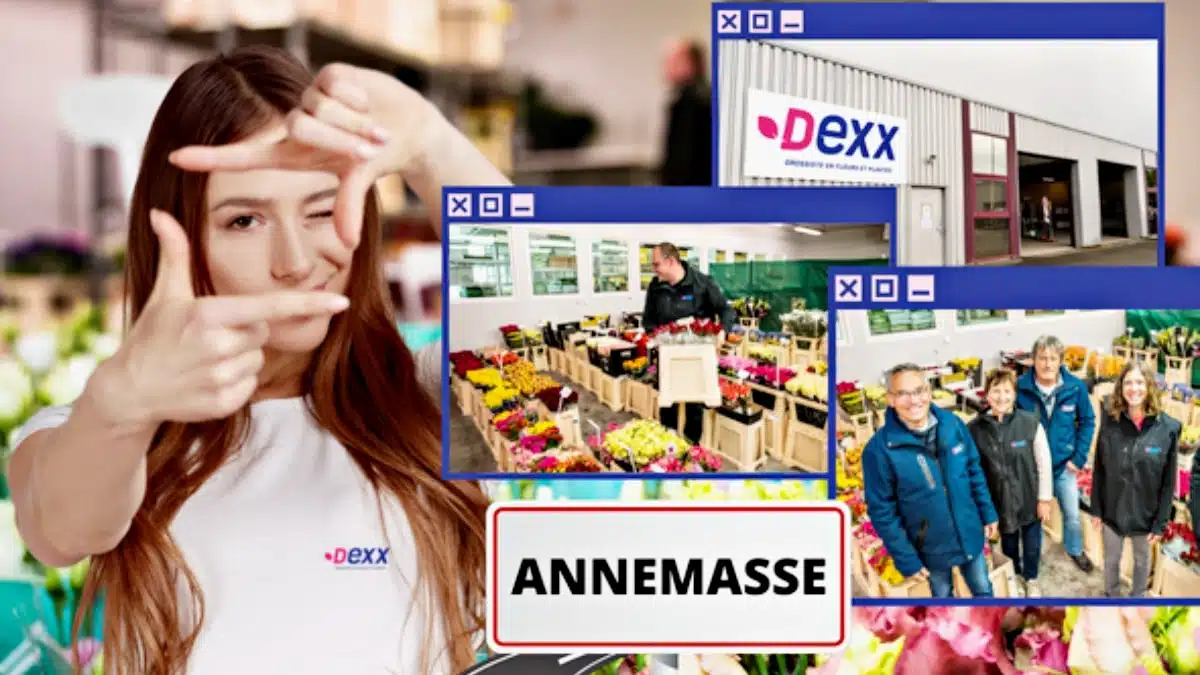 Dexx Anemasse JAF-info