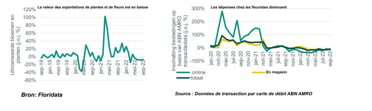 Analyse de l'Agriculture ABN AMRO au Pays-Bas - La production de la floriculture néerlandaise chutera de 20 % en 2023