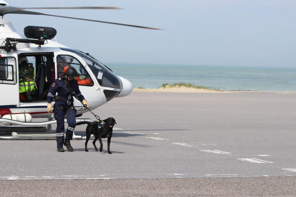 Les Candidatures Pour Les Trophées Des Chiens Héros 2023 De La Centrale Canine Sont Ouvertes !