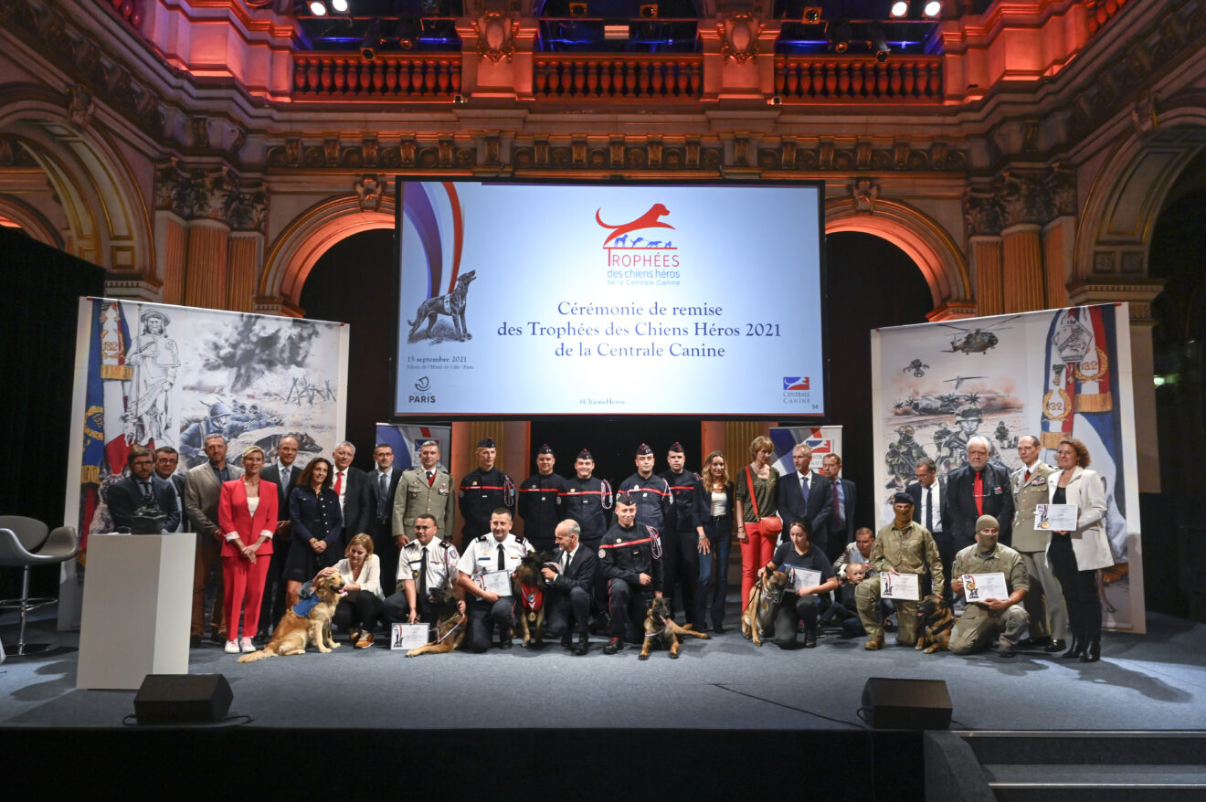 Les Candidatures Pour Les Trophées Des Chiens Héros 2023 De La Centrale Canine Sont Ouvertes !