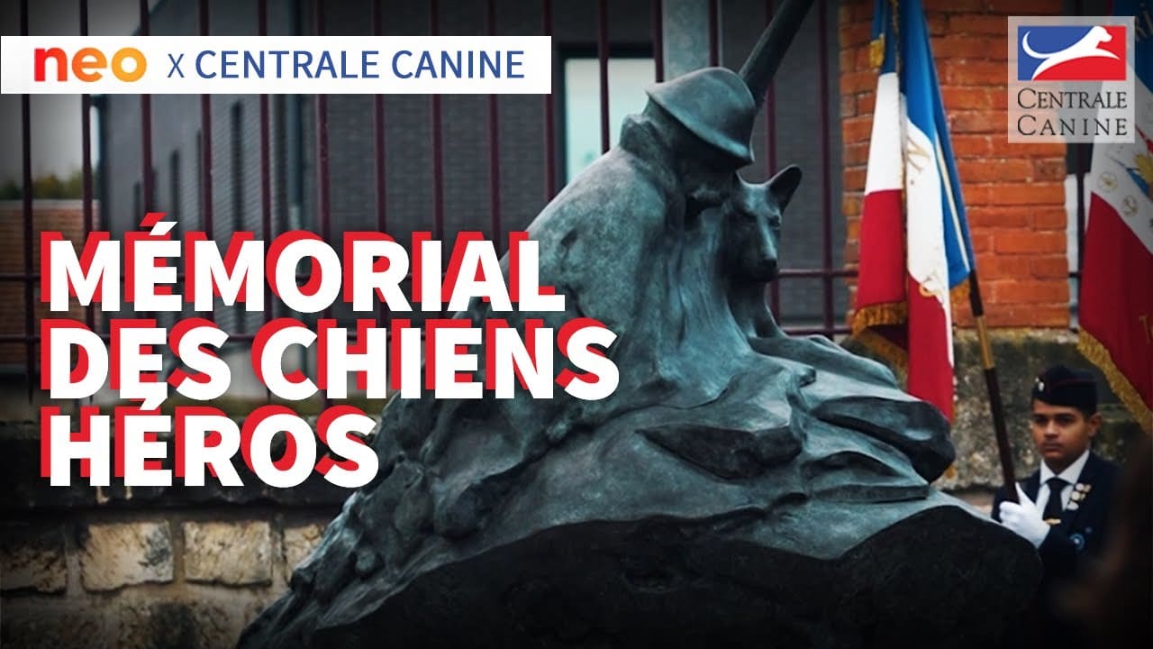 INAUGURATION DU MÉMORIAL DES CHIENS HÉROS - Neo x Centrale Canine