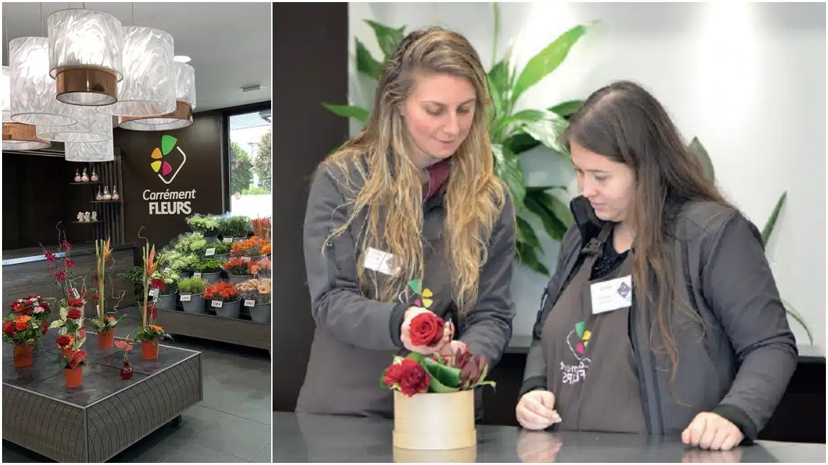 CARREMENT FLEURS RECRUTE JAF-info Fleuriste