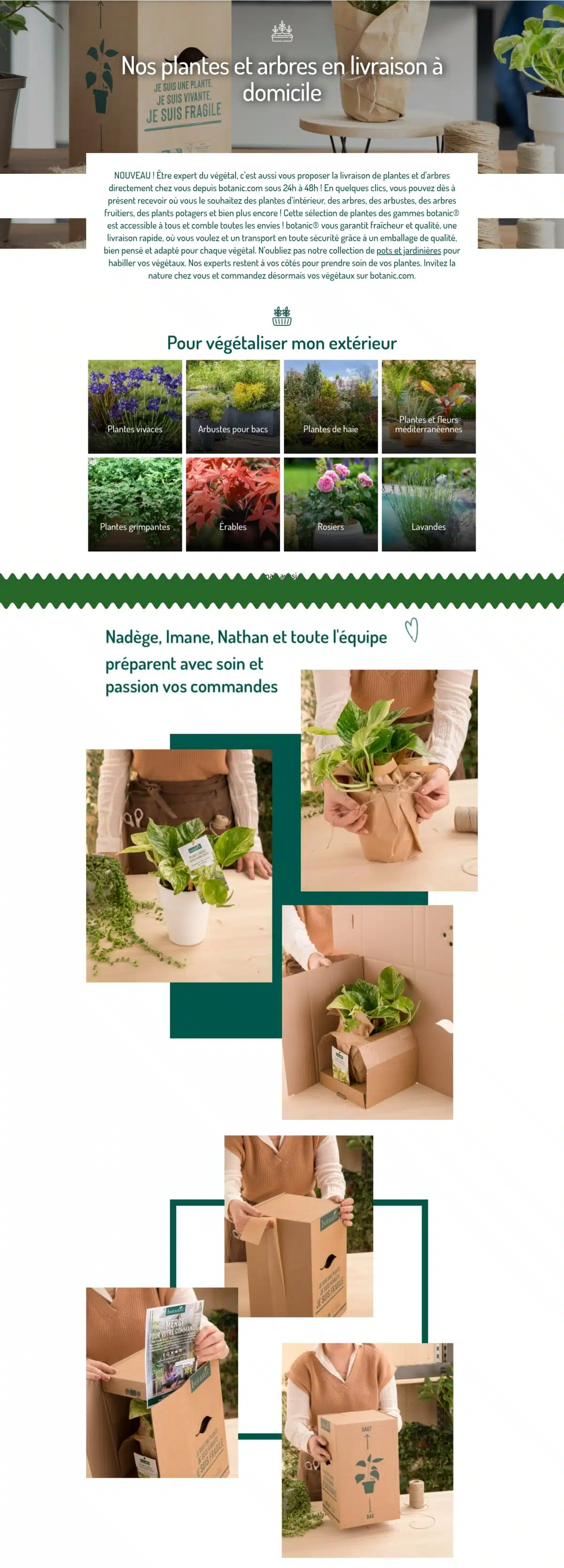 Nos-plantes-et-arbres-en-livraison-à-domicile-botanic®