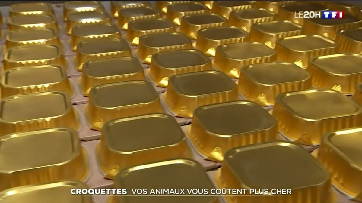 Croquettes _ vos animaux vous coûtent plus cher - Journal de 20 heures _ TF1
