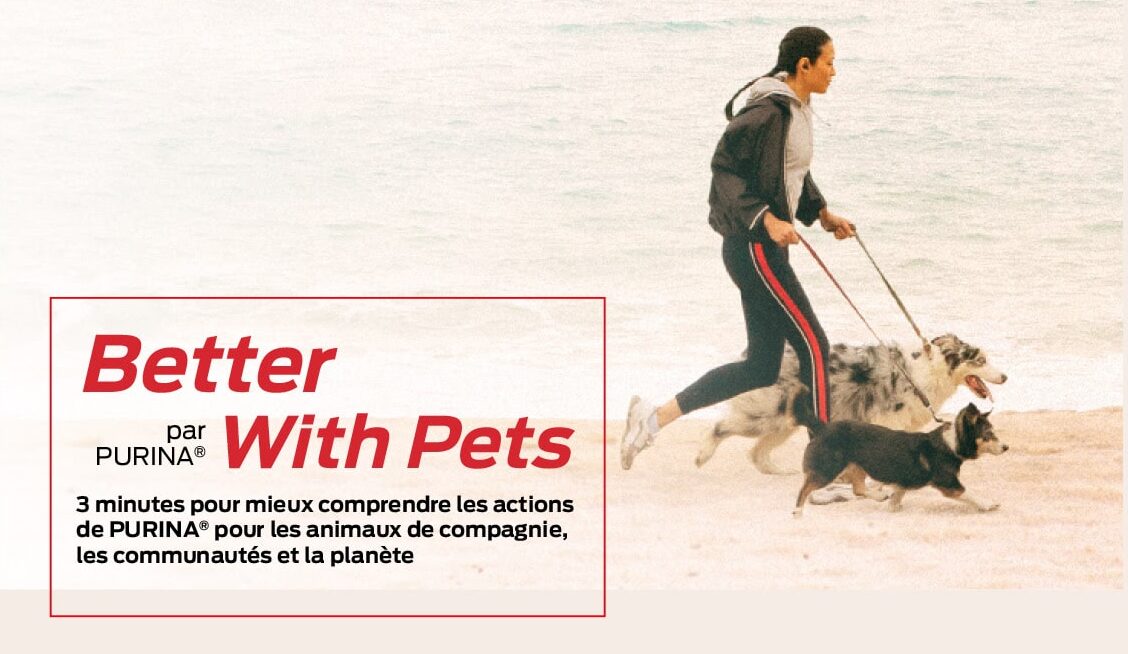 Nestlé Annonce Le Lancement Par Purina D'Une Nouvelle Édition De Son Prix Betterwithpets