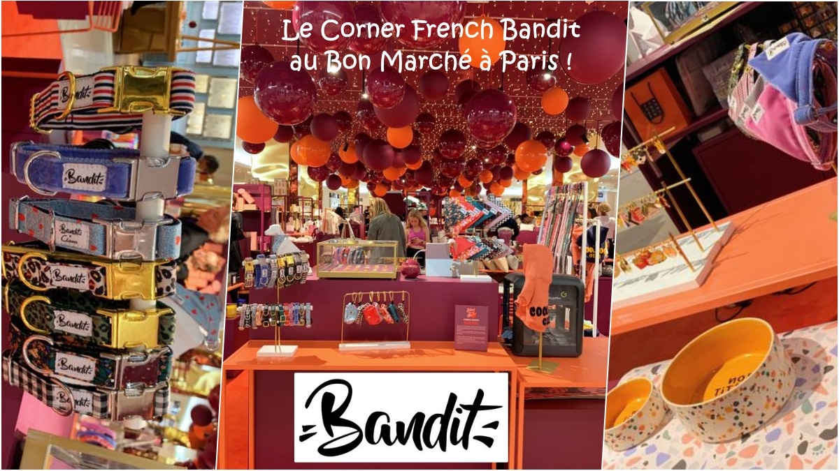 French Bandit Et La Prestigieuse Marque Française Lancel S'Associent Pour Des Animaux Lookés !
