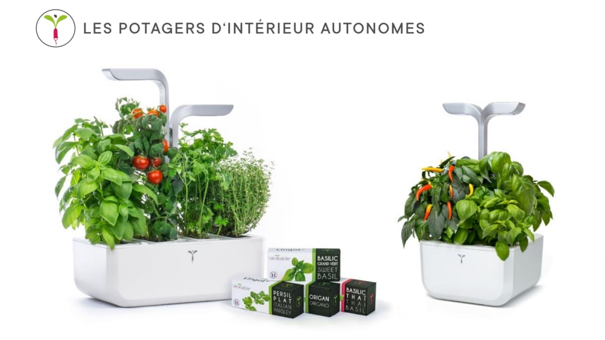 Jdc Garden-Trends 2023 - Une Sélection Des Nouveautés Et Des Stands À Visiter