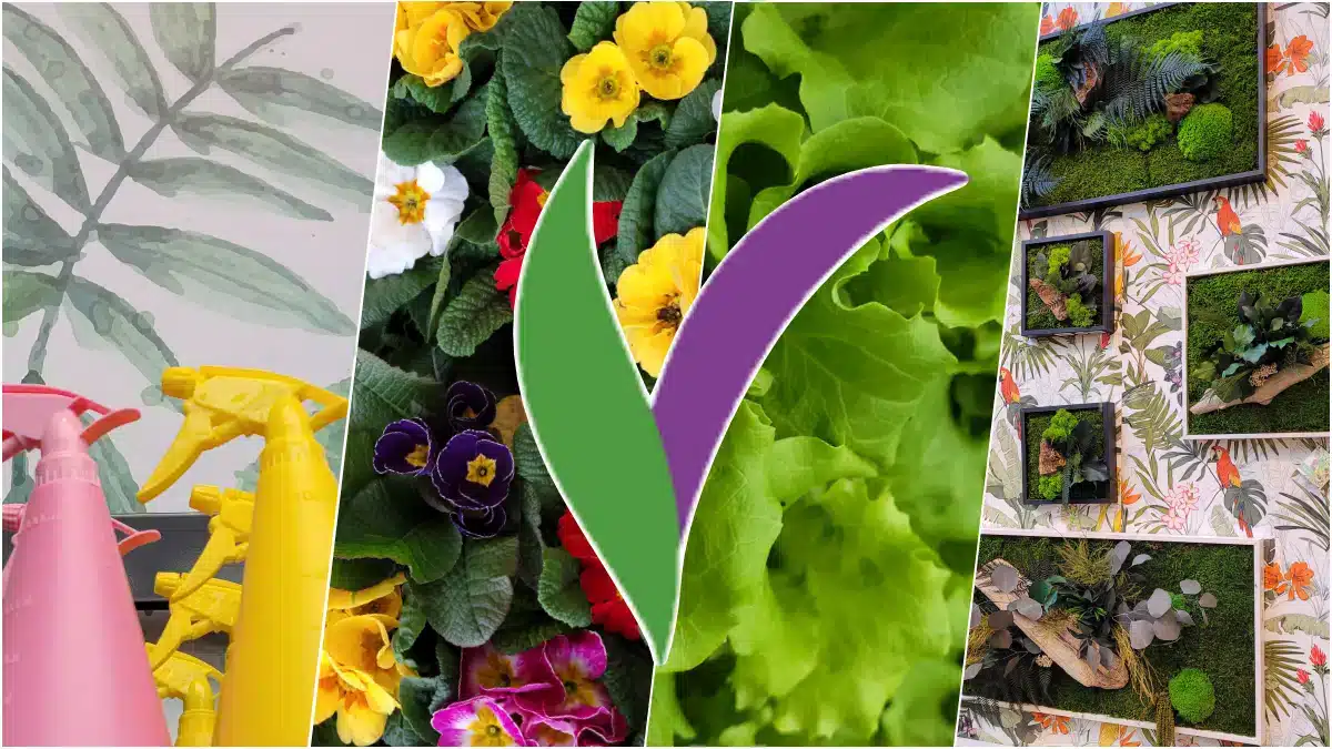[Vidéo] Ouverture VillaVerde Saran - Le Groupe Sévéa présente l'évolution du concept déployé dans son réseau de franchise de jardineries
