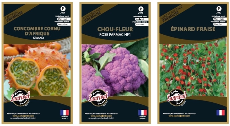 Jdc Garden-Trends 2023 - Une Sélection Des Nouveautés Et Des Stands À Visiter