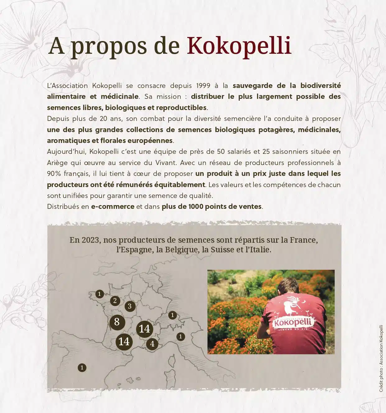 Les semences Kokopelli : une transparence unique sur le marché. 