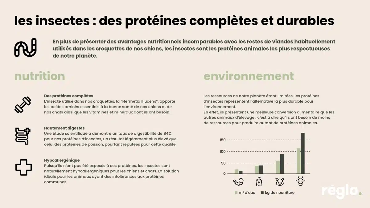 Reglo une production aux insectes 100% française avec Innovafeed comme partenaire et bientôt ses croquettes pour chiens et chats chez Monoprix
