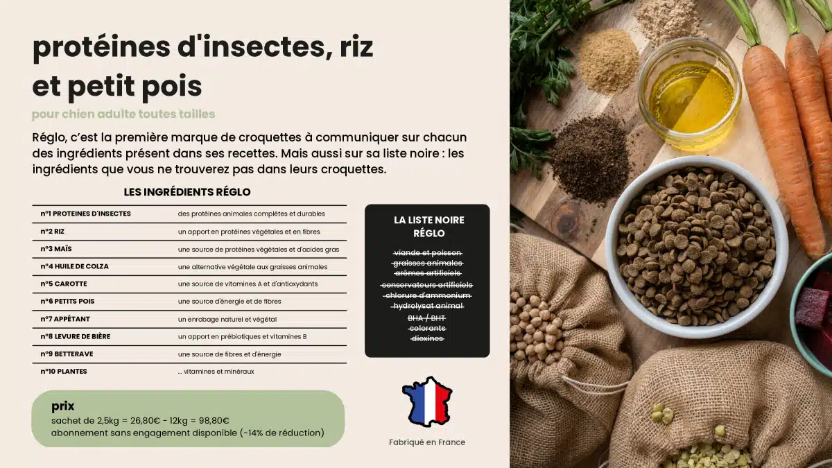 Reglo une production aux insectes 100% française avec Innovafeed comme partenaire et bientôt ses croquettes pour chiens et chats chez Monoprix