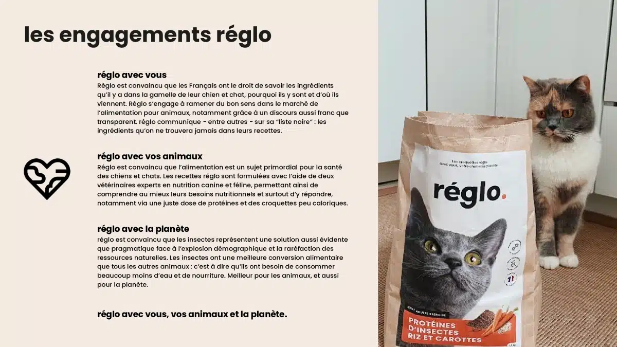 Reglo une production aux insectes 100% française avec Innovafeed comme partenaire et bientôt ses croquettes pour chiens et chats chez Monoprix