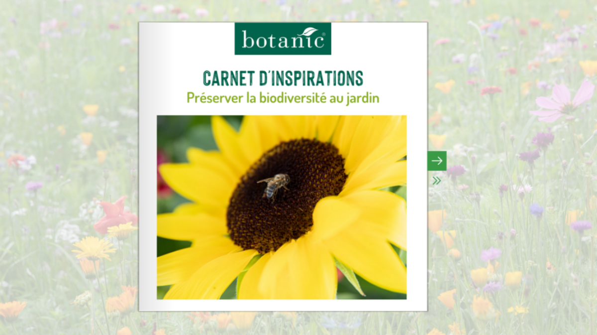 Botanic Inspiration