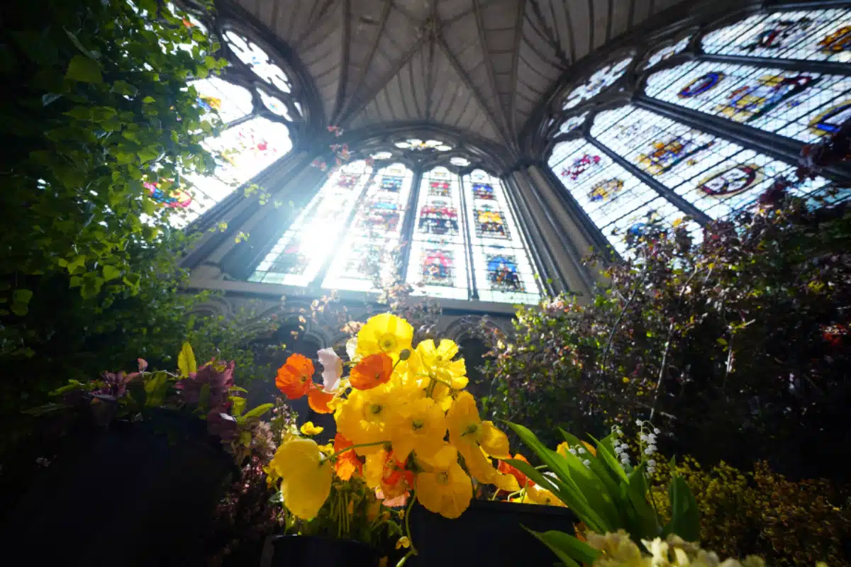 Couronnement du Roi Charles III et de la Reine Camilla - Les fleurs et les feuillages de saison arrivent de tout le Royaume-Uni pour une conception florale de Shane Connolly