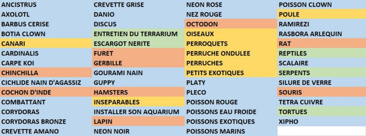 Perroquet 2 Prodaf-JAF-info-Animalerie