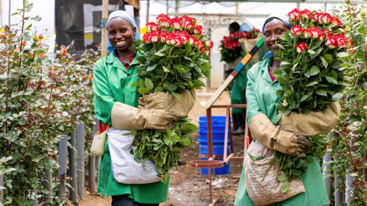 JAF-Info | Jardinerie Animalerie Fleuriste - L'info pour les pros !