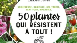 50 plantes qui résistent à tout